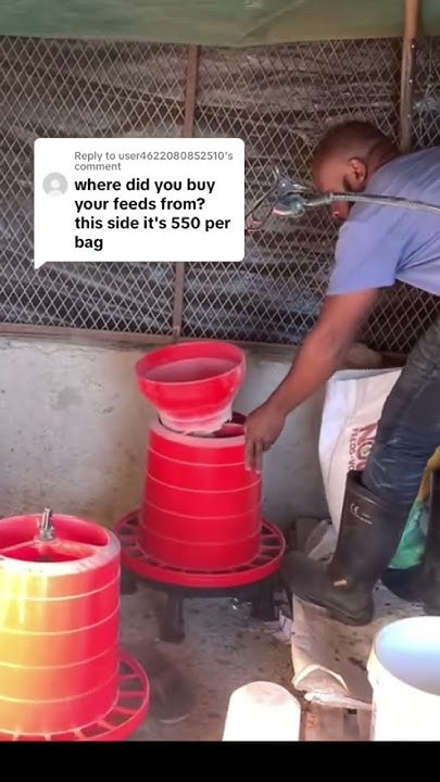 how-much-is-chicken-feed-chicken-broilerfarm-southafricanfarm