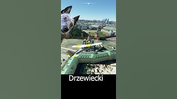 Visiting Moscow by Air (#Shorts) Real Pilot Plays Microsoft Flight Simulator