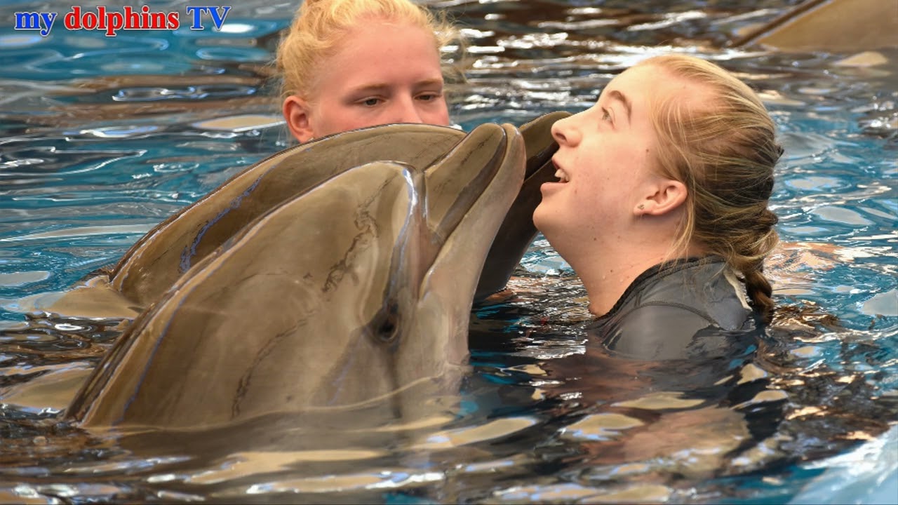 Lina`s nächste Delfin unterstützte Therapie