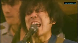 back number : Part 5 - Love Stories Tour (ネタンデルタール人 \ Birds Sorrow \ 003)