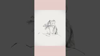 #04 Animal Study – Pika Drawing (멧밭쥐 드로잉 | Procreate 디지털 드로잉)