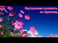 "Внутренняя схожесть со Христом". А. Горбунов. Проповедь. МСЦ ЕХБ