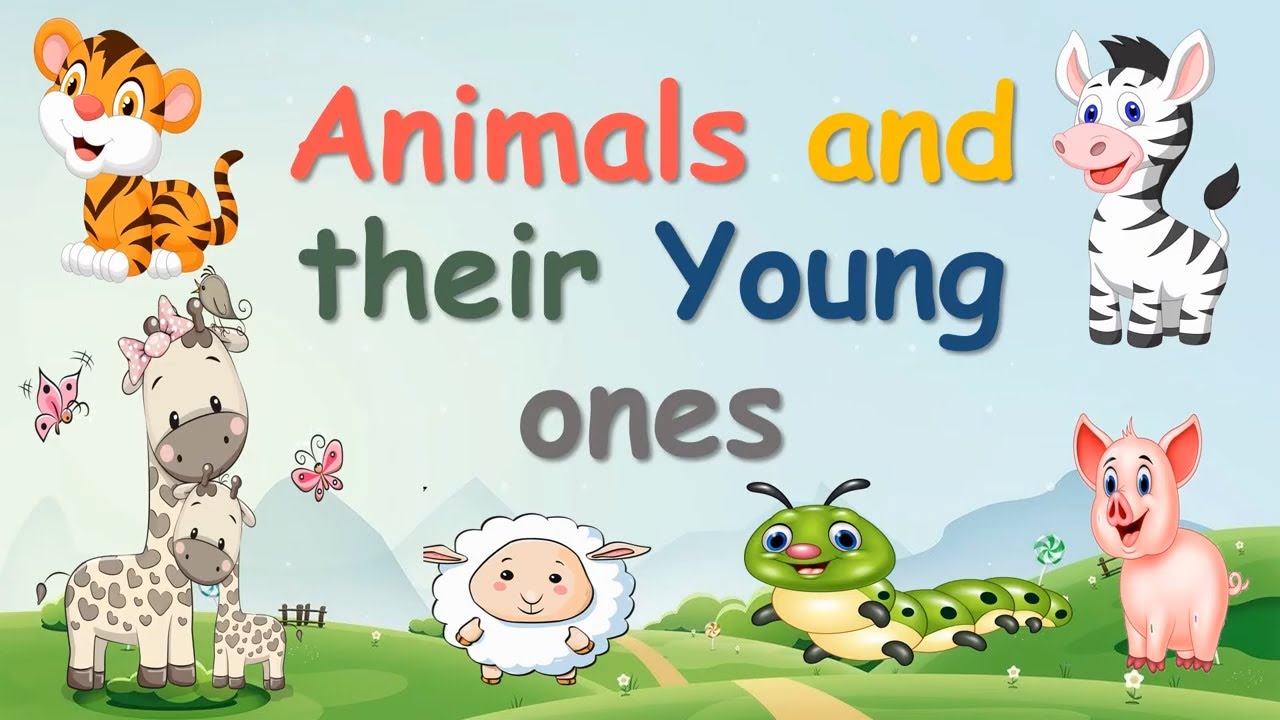 Animals and their Young ones with pictures || Kids Vocabulary of Baby  Animals || Baby Animals - YouTube
