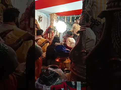 baainga baainga balale