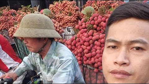 ra chợ Vải Thiều Lục Ngạn Bắc Giang sẽ như thế nào : Lanh Lục Ngạn