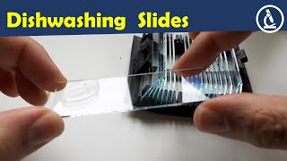 🔬 Dishwashing microscope slides | Amateur Microscopy
