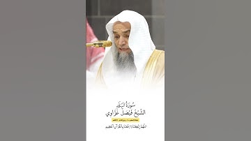 سورة البلد | الشيخ #فيصل_غزاوي