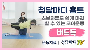 [버드독] 전신 코어근육과 밸런스운동을 한번해 해결하는 코어강화운동_청담마디 도수재활센터