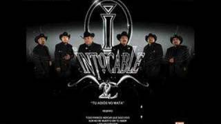 Video thumbnail of "Intocable "Tu Adios No Mata" (Nuevo)"