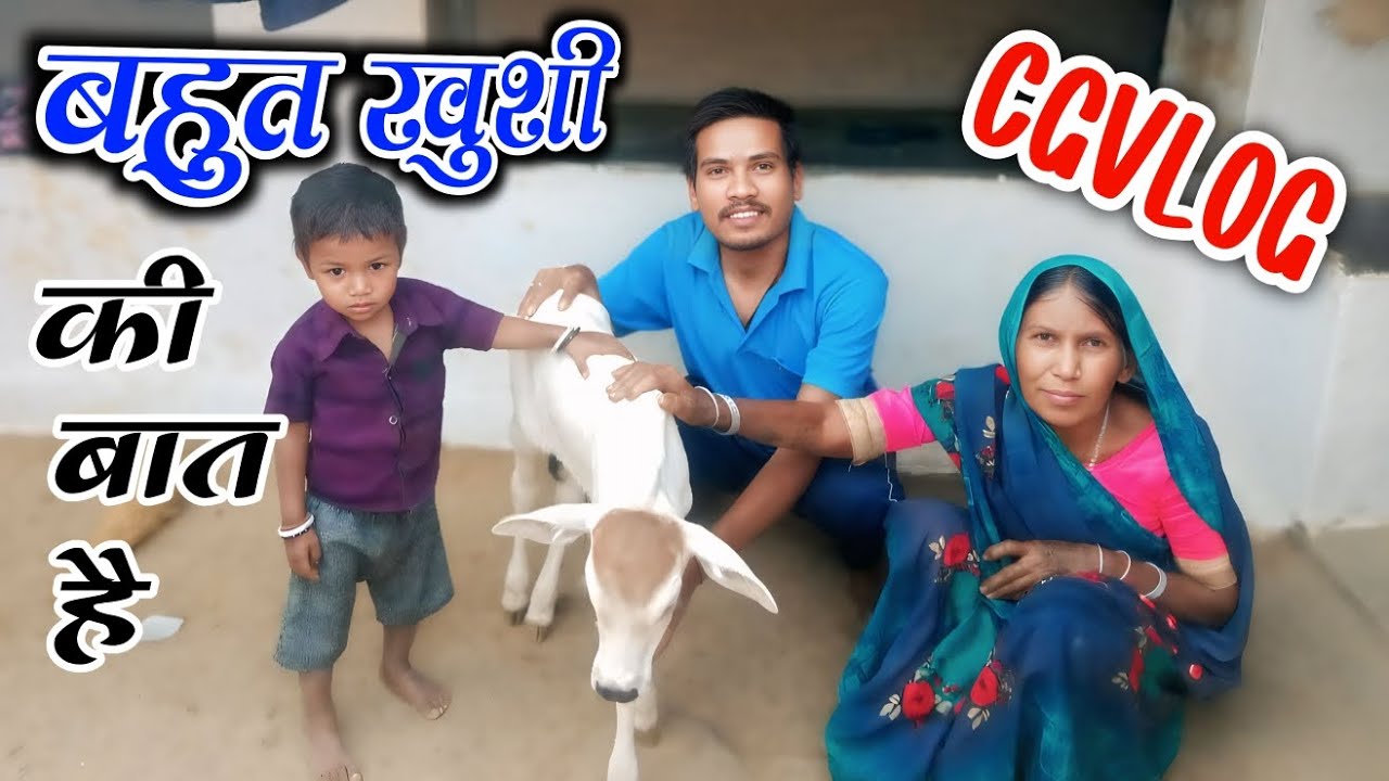 आज हमर घर नवा महेमान आगे,,,,🤠😍#cgblog #ytshorts #chhattisgarhculture 