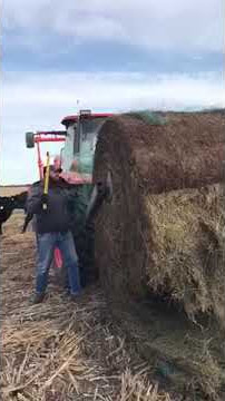 using a vintage hay knife 