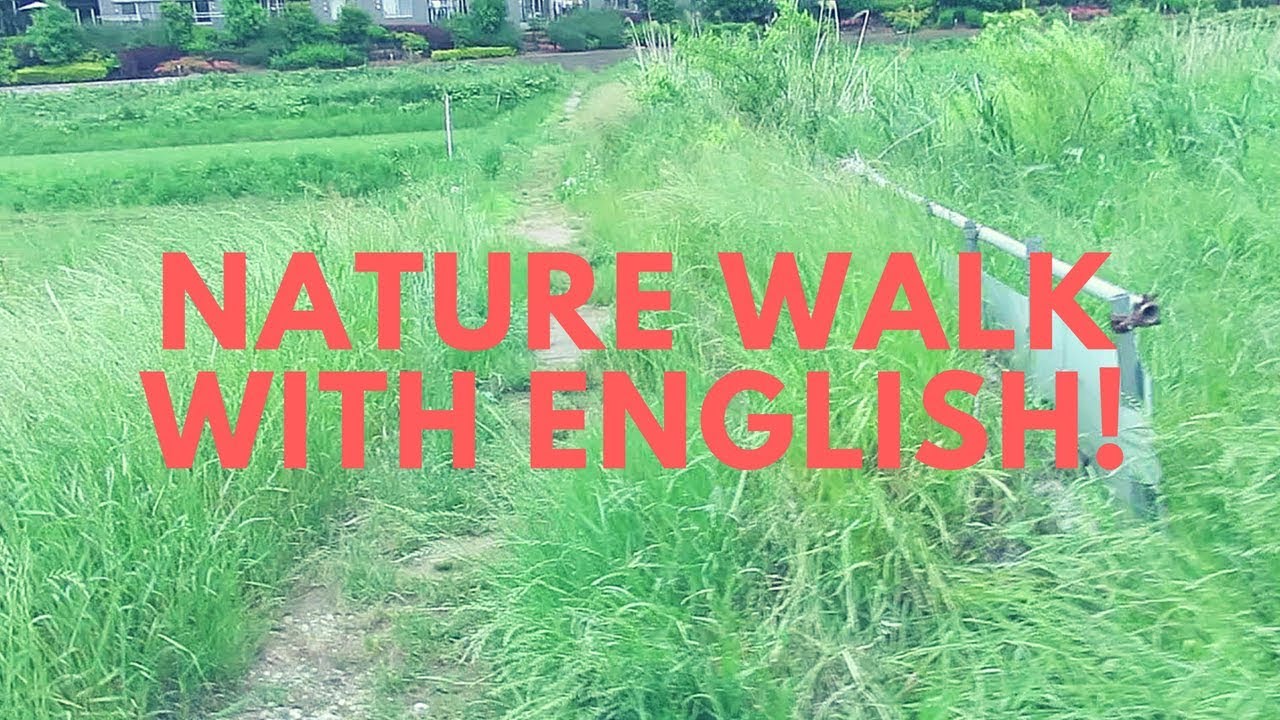 Nature Walk With English 英語で自然と触れ合う Youtube