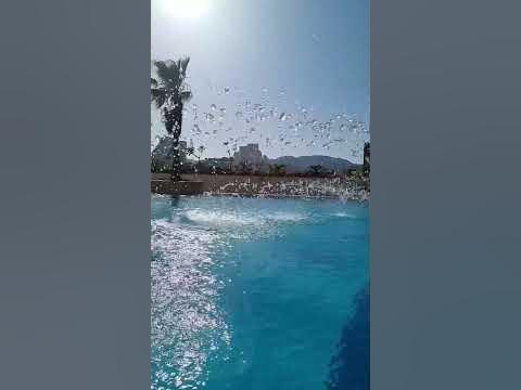 Фонтан в бассейне. И чуть чуть замедленная съемка - YouTube