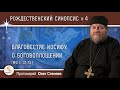 Рождественский синопсис #4. Благовестие Иосифу о Боговоплощении (Мф.1:18-25) Протоиерей Олег Стеняев