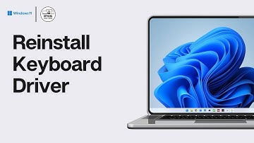 Hoe u het toetsenbordstuurprogramma opnieuw installeert in Windows 11/10 (2025 Windows-handleiding)