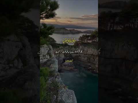 Surah Yunus Ayat