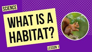 What is a Habitat? | Science Lesson