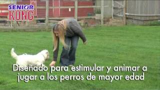Kong Senior - Pocurull -