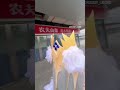 So Beautiful вќ пёЏвќ пёЏвќ пёЏвќ пёЏвќ пёЏвќ пёЏвќ пёЏ 0000 And Viral So Beautiful вќ пёЏвќ пёЏвќ пёЏвќ пёЏвќ пёЏвќ пёЏвќ пёЏ 0000 And Viral