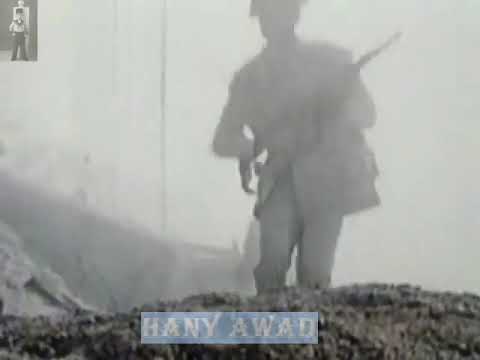 قول يا سادات