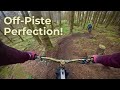 The Most Fun You Can Have on an MTB ? (Off-Piste Gold)