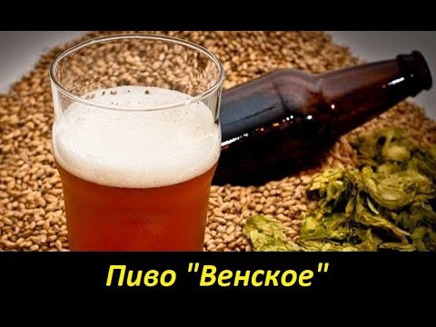 Video: Ako Pripraviť Toast Na Pivo