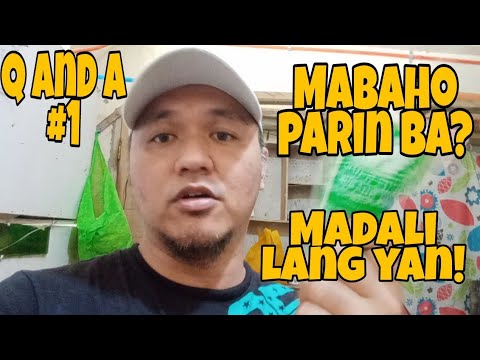 Q and A (1)||Paano matanggal ang mabahong amoy sa damit?||laundry business||MR. DAZZAP