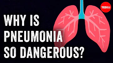 Kdo jsou průvodci pneumonie?