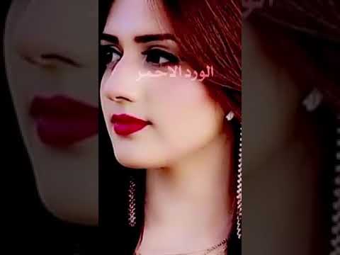 شيلات قصيرة طال همك دحام العبيوي شيله يقطفون الورد الاحمر