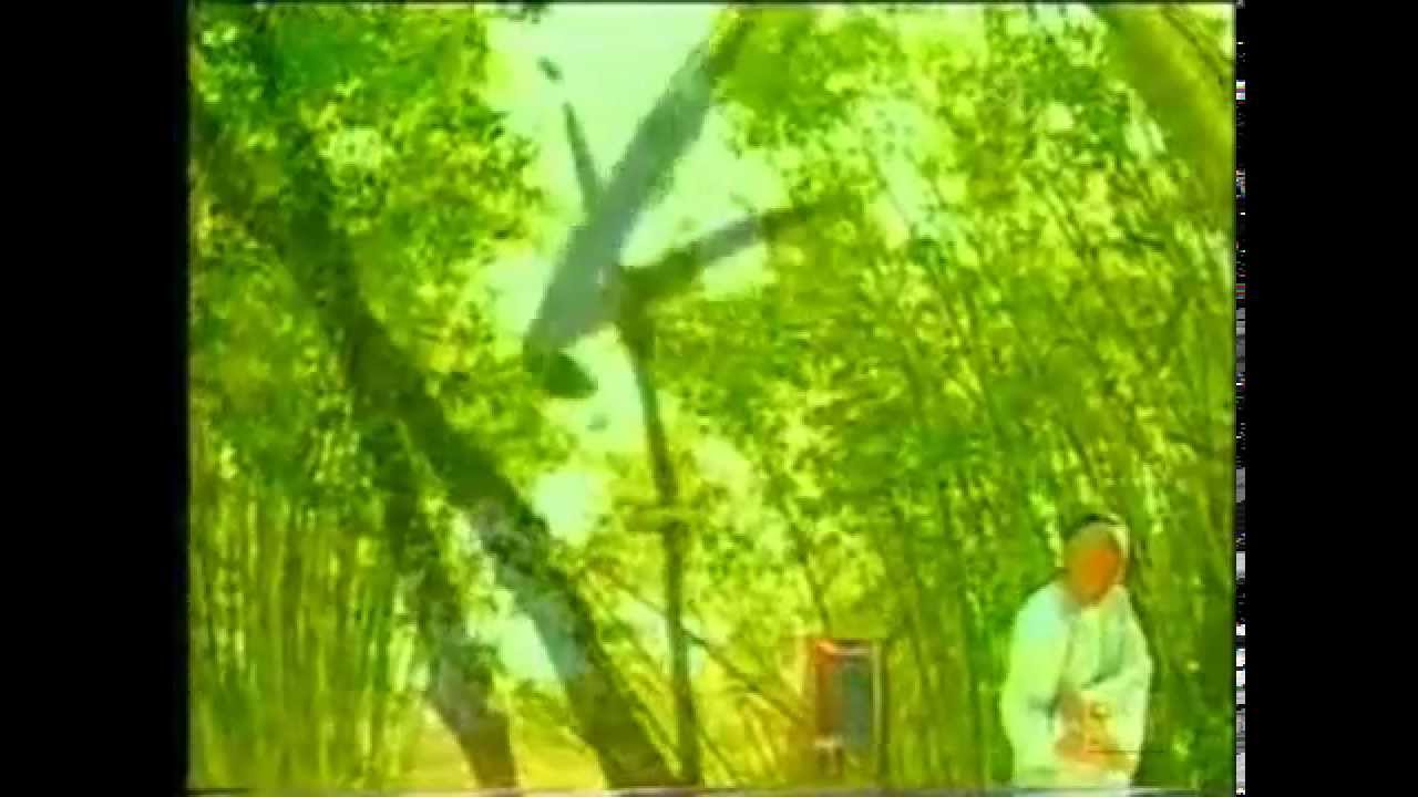 Кадр из трейлера «鄭板橋»