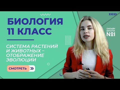 Система растений и животных – отображение эволюции. Видеоурок 8. Биология 11 класс