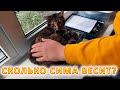 VLOG Помыла окно. Письмо солдату от Назара