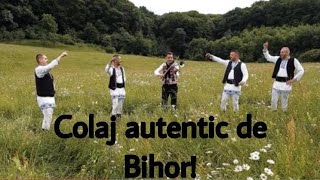 Cosmin  Botis - Program de BIHOR LIVE - La VIOARA CU GOARNA