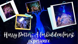 Harry Potter: A forbidden forest experience | Singapore