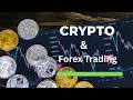 14 Feb | Bitcoin Trade | Crypto &amp; Forex Trade Explained.