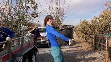 Planting Trees and Futures in Albuquerque