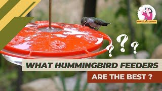 What is the Best Hummingbird Feeder?