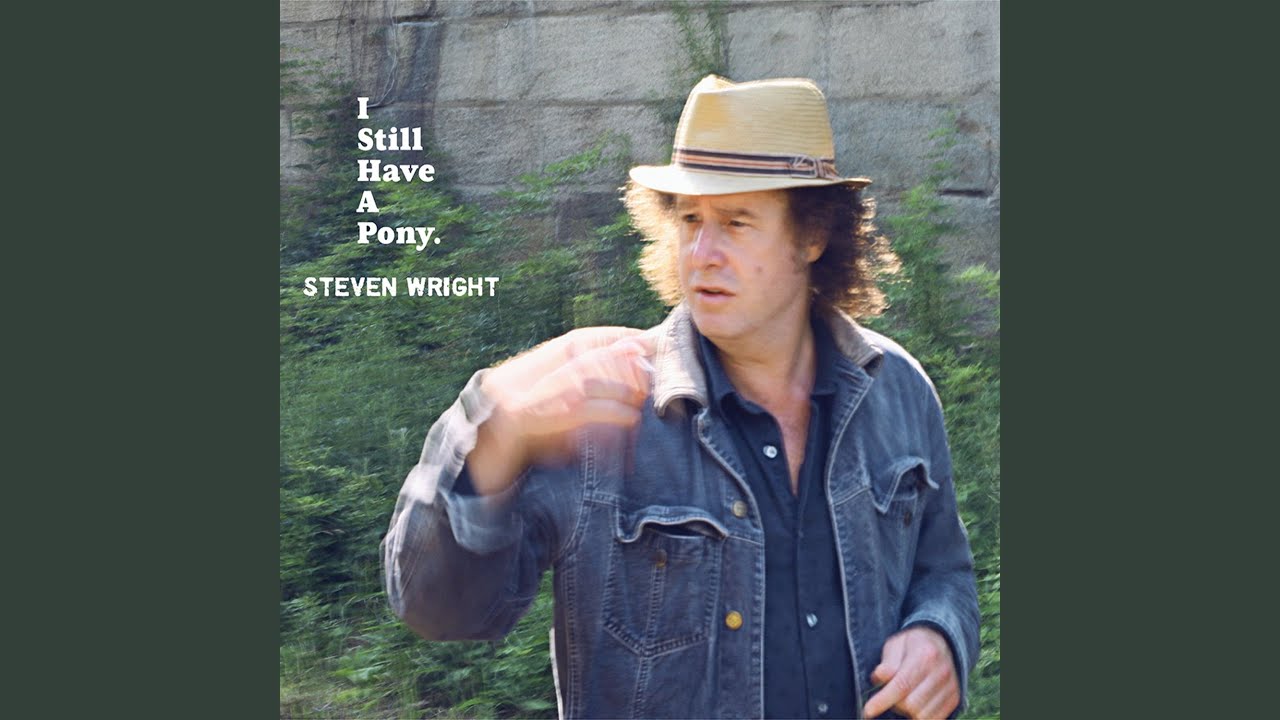 Steven Wright - Friends Of Mine Song acordes