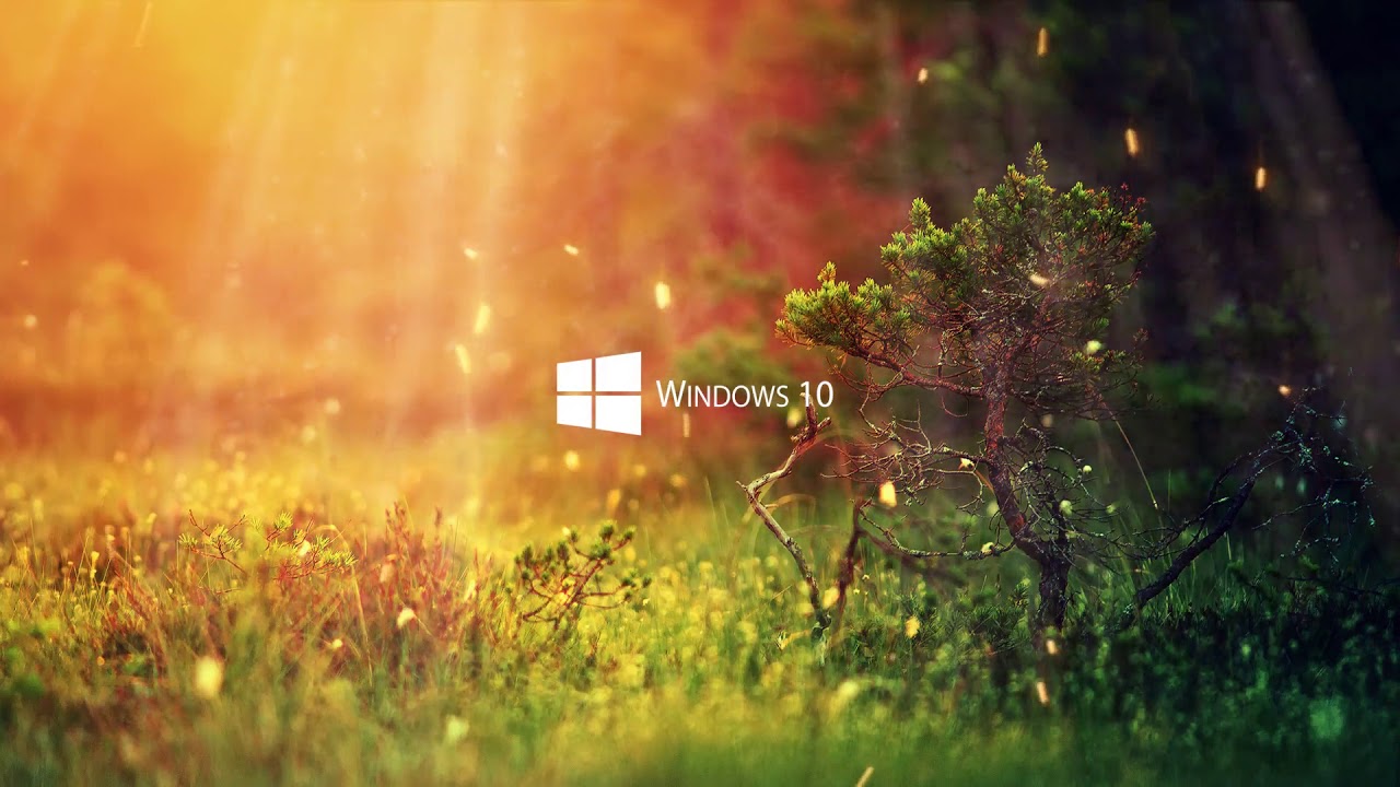 Windows 10 Nature Live Wallpaper 12 - YouTube