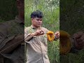 🐝🍯🐝