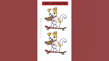 find 3 Differences #145