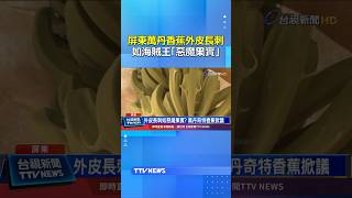 Did it fall in love with a dragon fruit? Spiky bananas found in Wandan, Pingtung... look just lik...