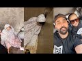 سافرت لكربلاء واول مره وياي شموسه