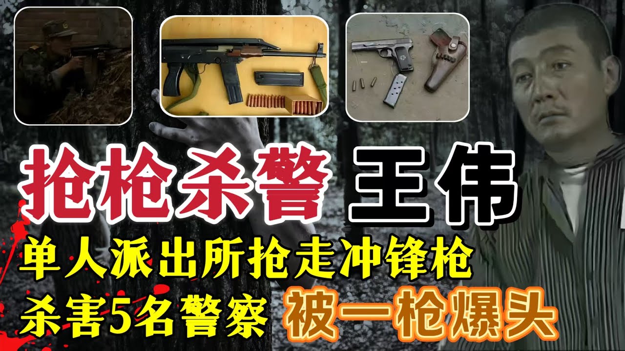 公安部重点督办、悍匪抢走2支冲锋枪4支手枪，杀害5人，劫持2名人质、最终被一枪爆头#案件調查 #真實案件