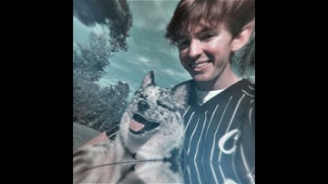 albert/flamingo edit - not around