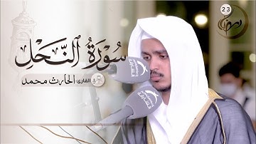رمضان 23 / صلاة التراويح/ القارئ :الحارث محمد نور / مسجد : الأرقم بن أبي الأرقم