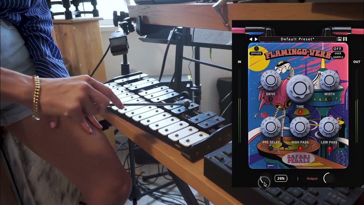 Flamingo Verb Xylophone Demo 003 YouTube