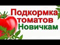 НЕ ПОГУБИТЕ ТОМАТЫ ПОДКОРМКОЙ! Точный график и дозировка подкормок