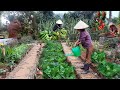 Full of 20 days of gardening growing vegetables harvesting and cooking