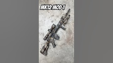 MK12 Mod 1 #mk12 #gwot #trap
